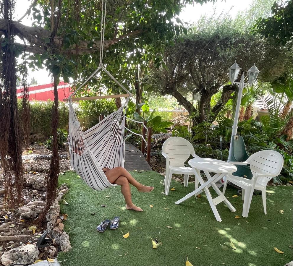 Habitacion Agregada, Suite Frente A La Piscina 2 P Habitacion No Casa Completa San Vicente Raspeig エクステリア 写真