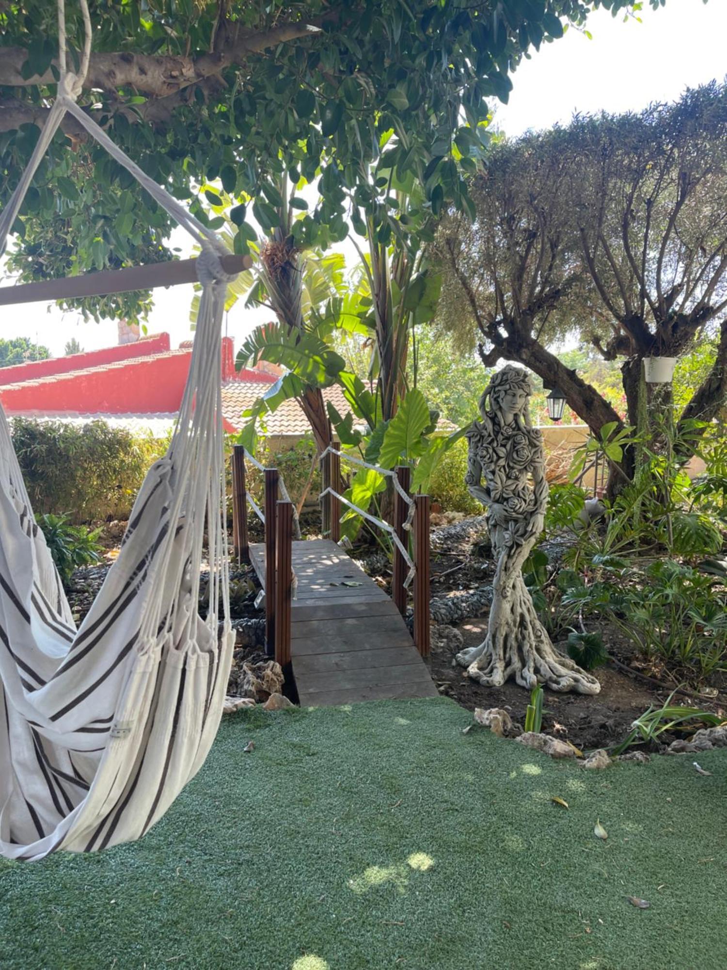 Habitacion Agregada, Suite Frente A La Piscina 2 P Habitacion No Casa Completa San Vicente Raspeig エクステリア 写真